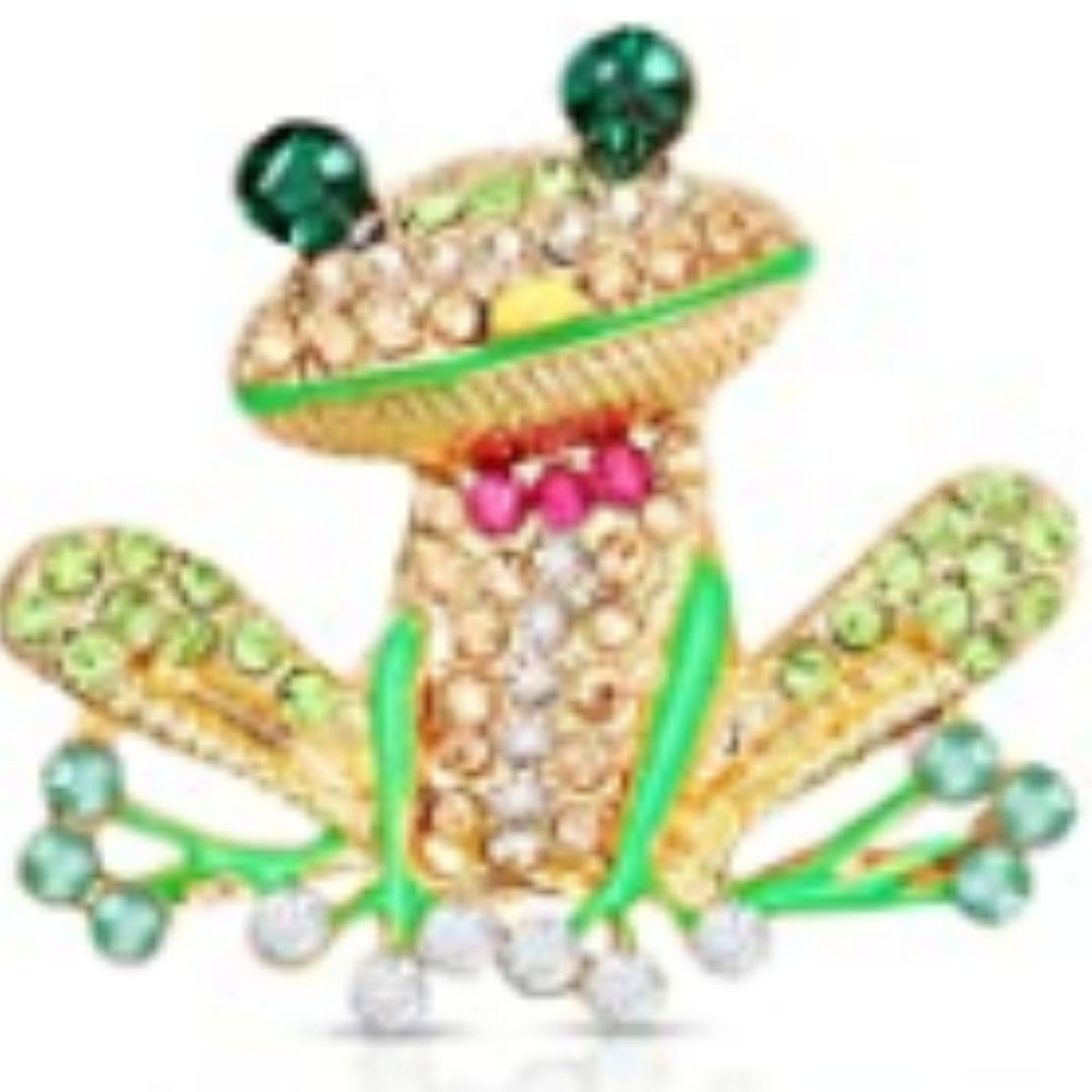 ✨ Frog pin